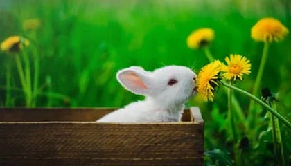 17173新游期待榜:《上古世纪》开发商新作试玩公开 《战地风云6》正式发售